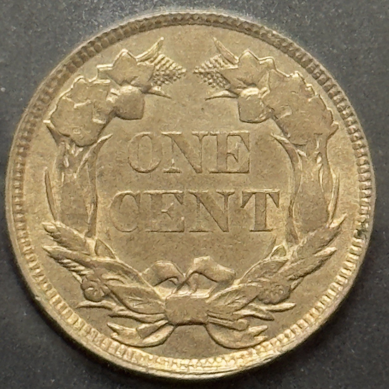 1857 Flying Eagle Cent - Mint State *Crackout* ( 40486 )
