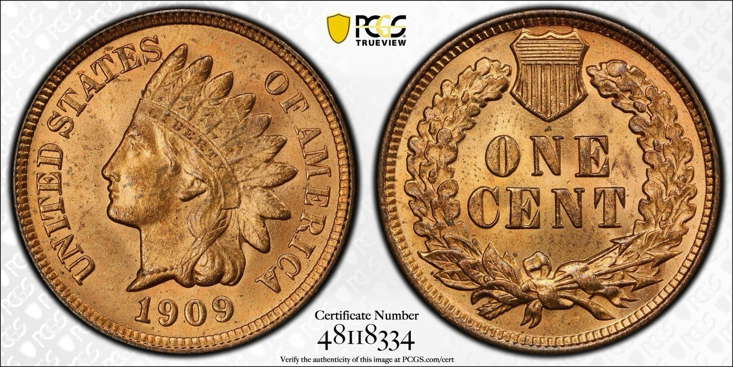 1909 Indian Head Cent - Mint State *Crackout* ( 40488 )