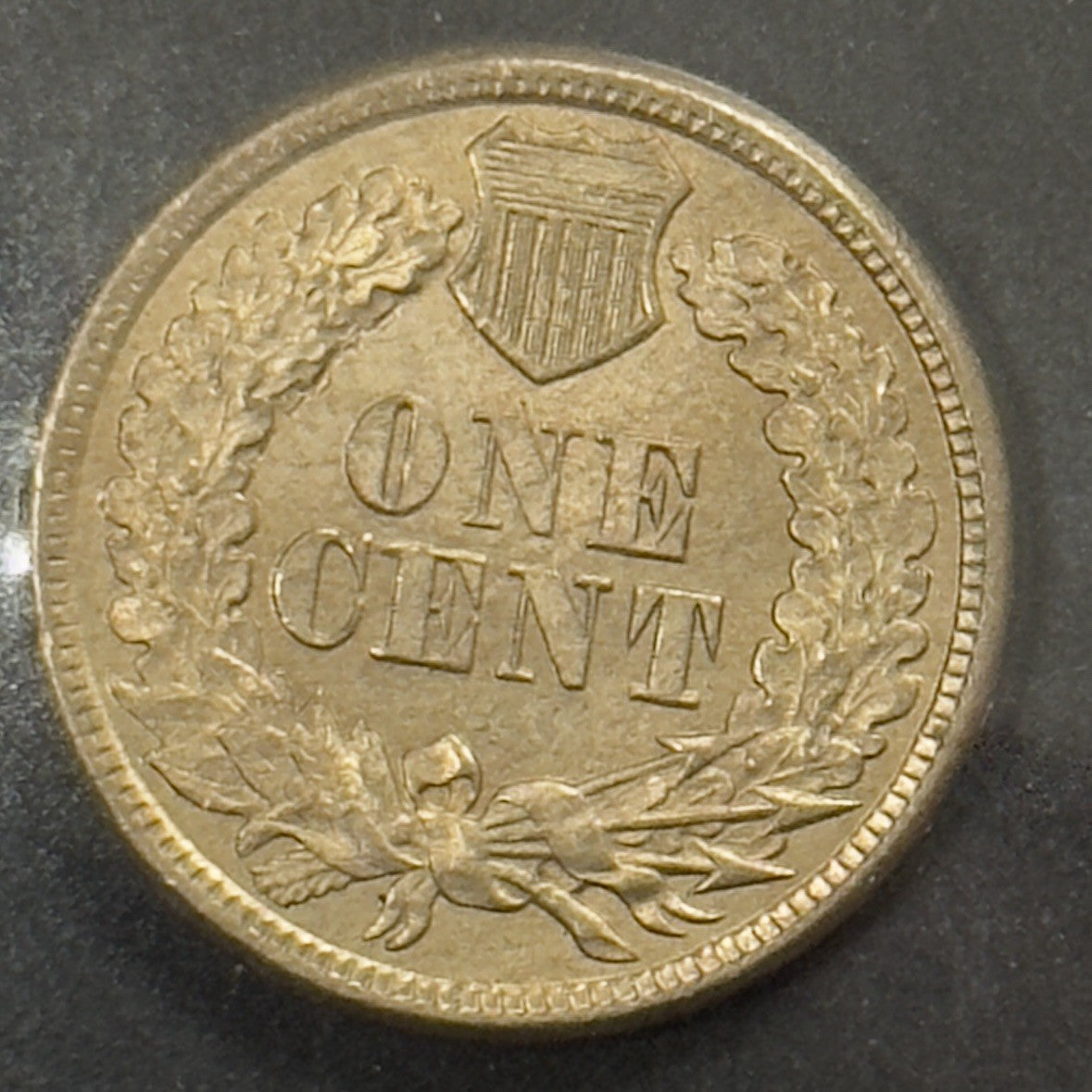 1860 Indian Head Cent - Mint State *Crackout* ( 40483 )