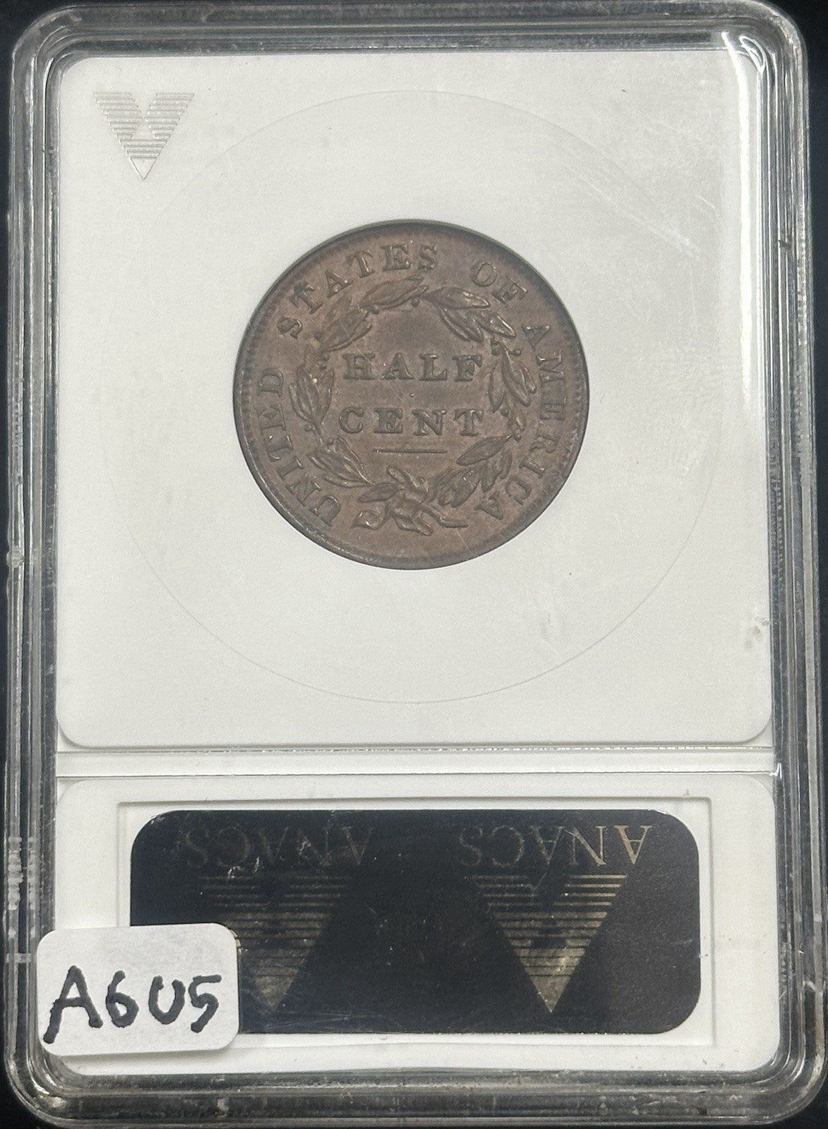 1834 Classic Head Half Cent ERROR Clashed Dies ANACS AU55 A6U5