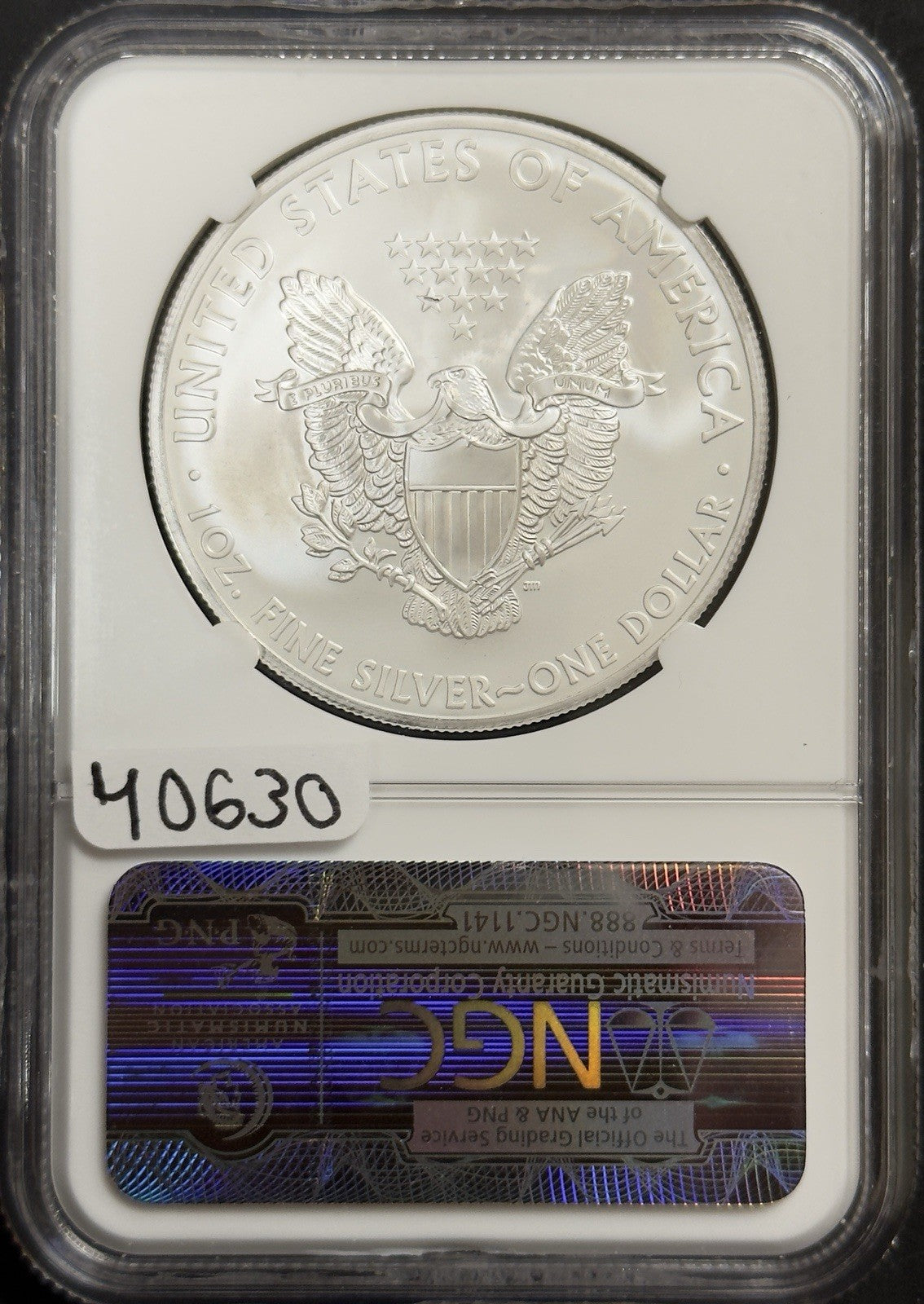 2013 (S) American Eagle - NGC MS70 ( 40630 )