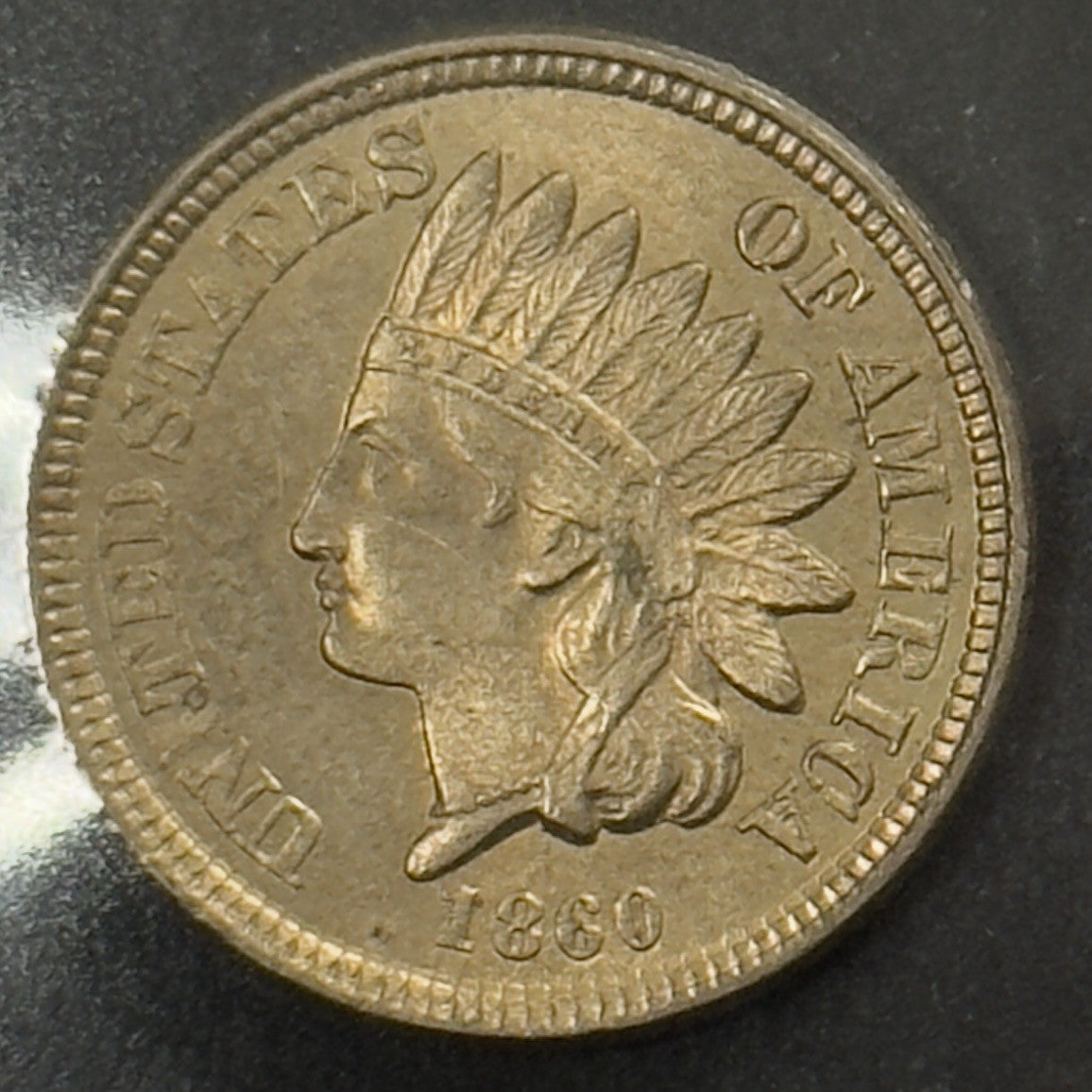 1860 Indian Head Cent - Mint State *Crackout* ( 40483 )