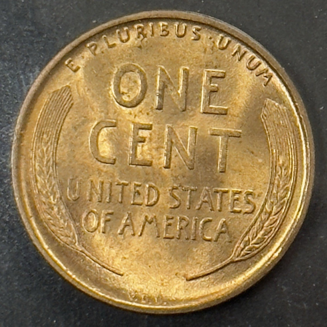 1909 VDB Wheat Cent - Mint State *Crackout* ( 40484 )