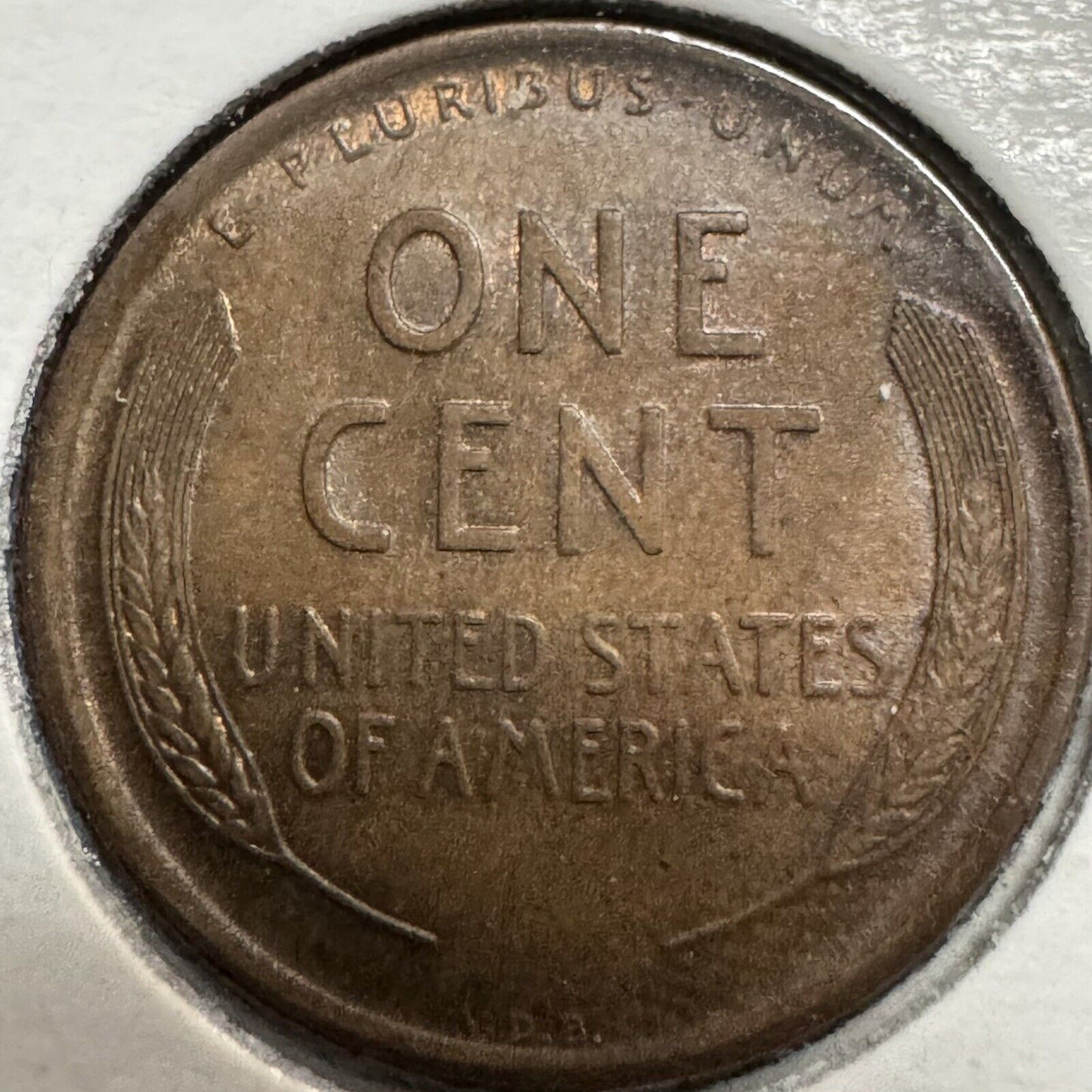 1909 VDB Wheat Cent - Extra Fine