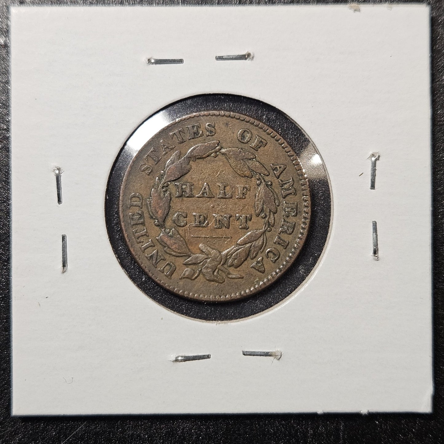 1828 Half Cent 12 Star Classic Head Fine (A6UN)