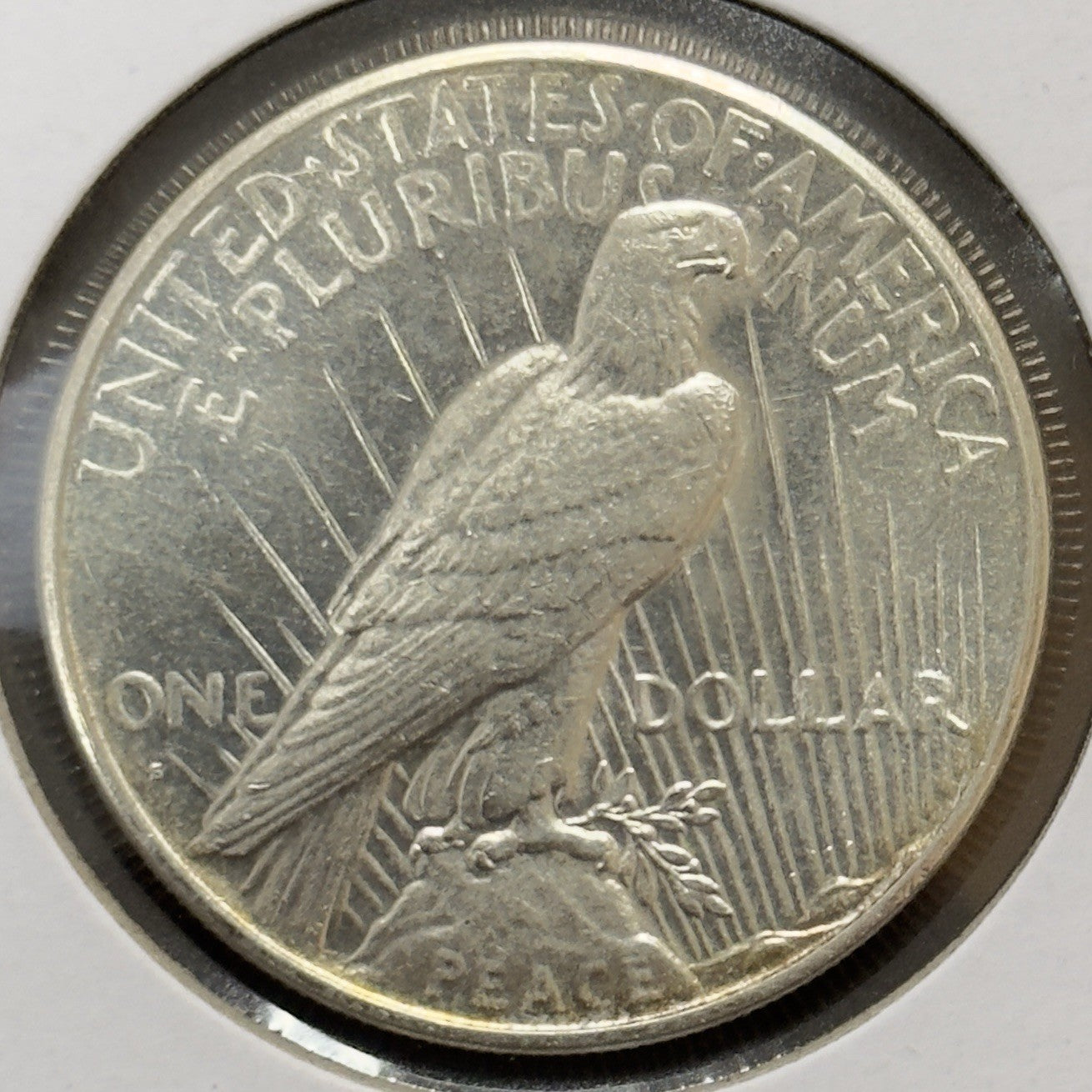 1926 S Peace Dollar - Mint State *Crackout* ( 40503 )