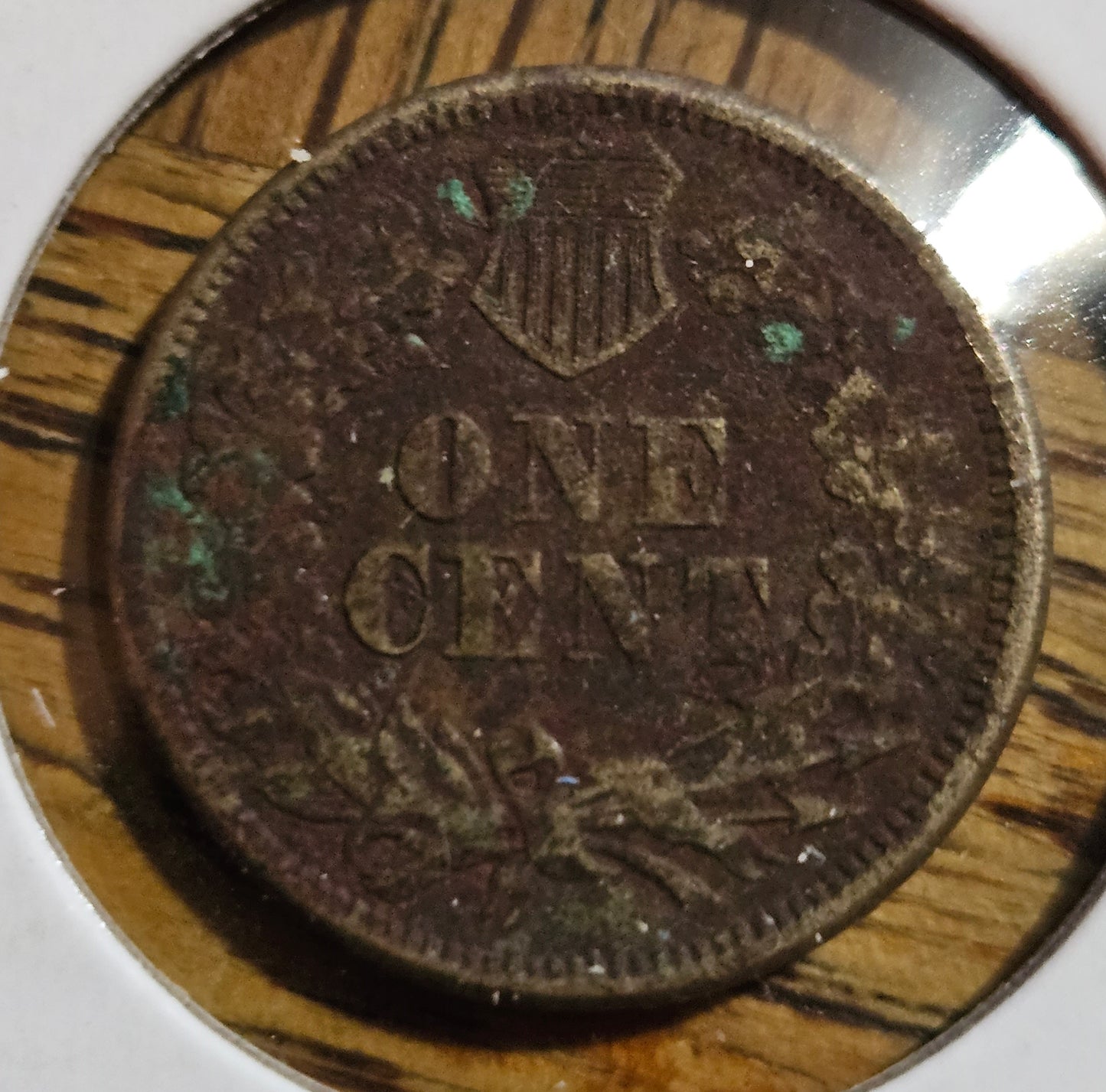 1860-P Indian Head Cent Raw Very Fine Full Liberty A Beautiful Brown Coin with Tons of Detail!!