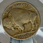 1913-P Buffalo Nickel Ungraded Very Fine  Type 2 First Year Coin!!!