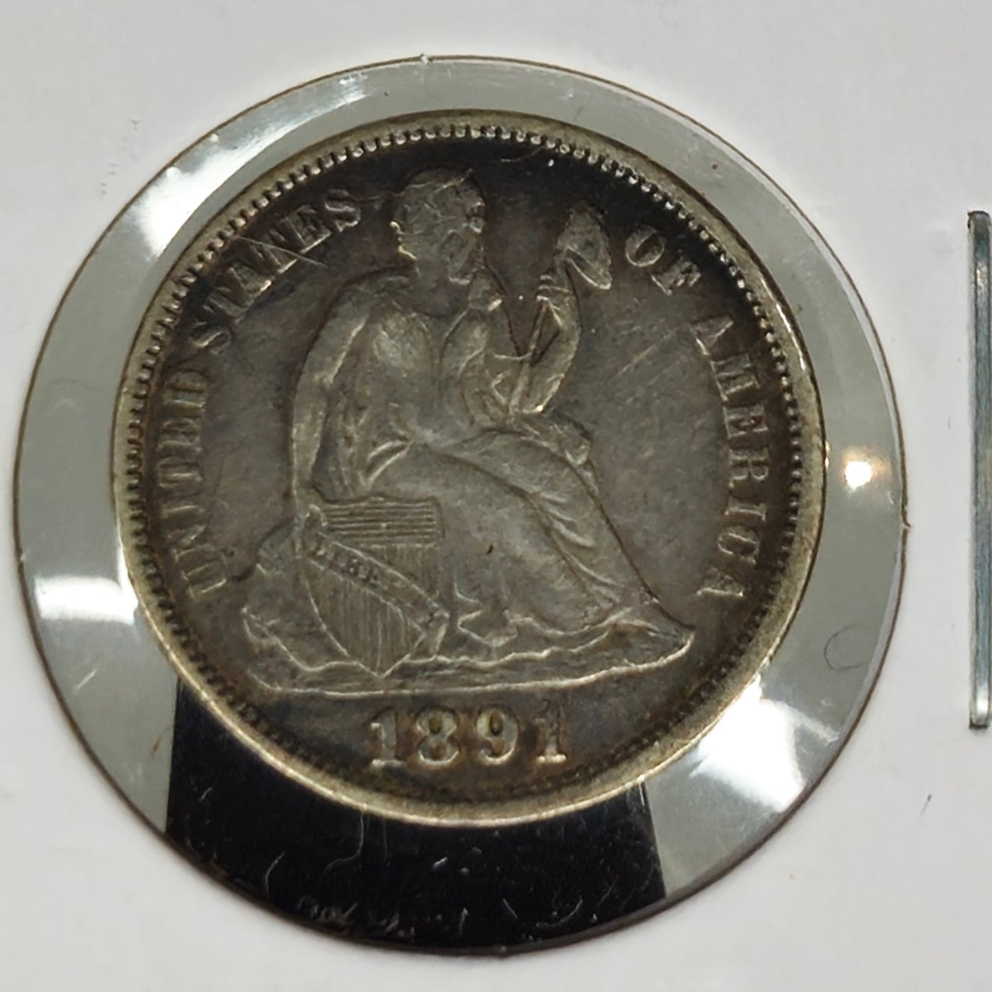 1891-P Liberty Seated Dime Ungraded Very Fine