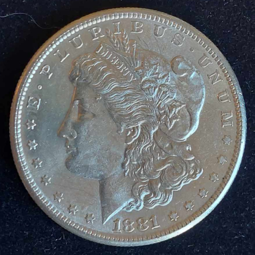 1881-S Morgan Silver Dollar Ungraded Mint State
