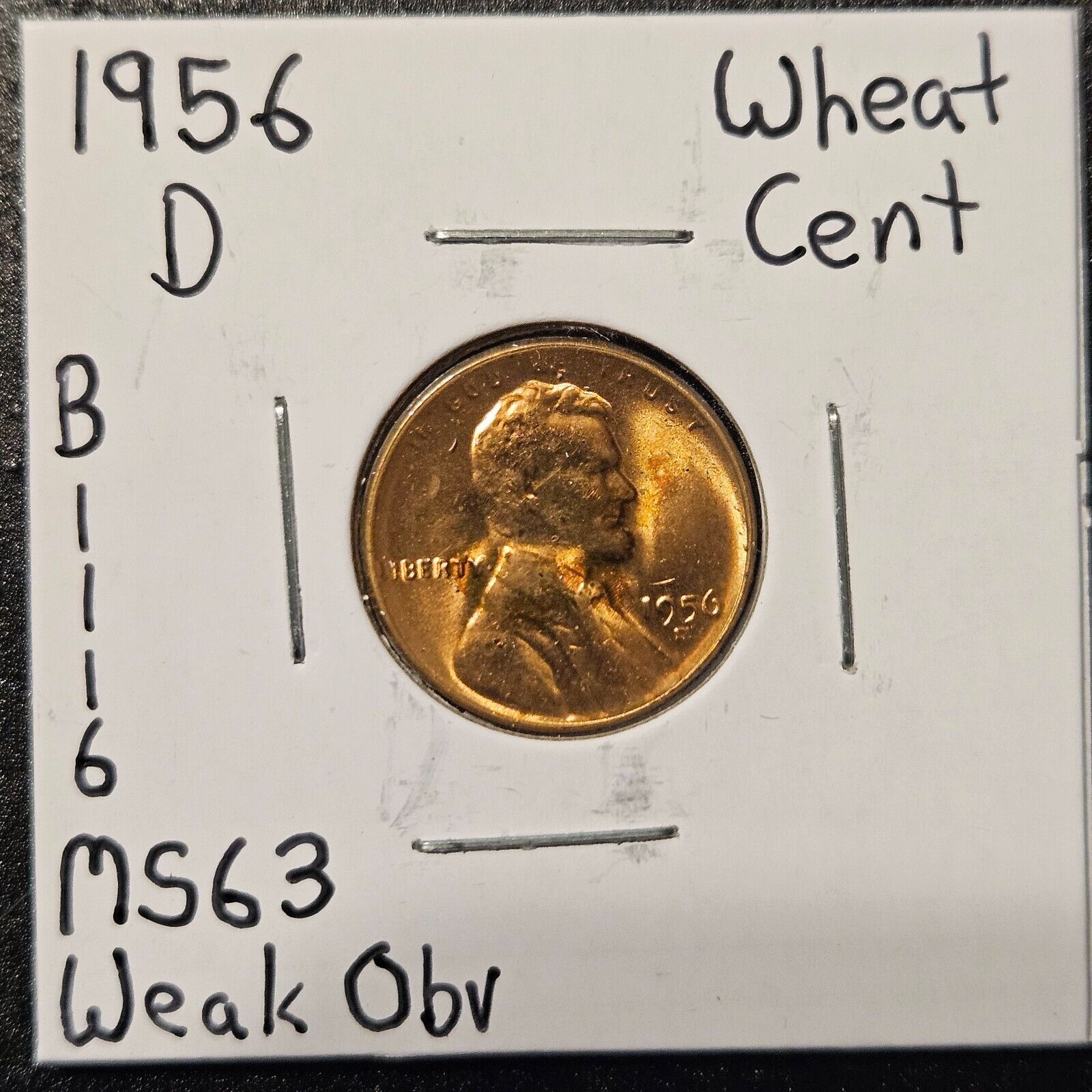 1956-D Lincoln Wheat Cent Ungraded Mint State B1116