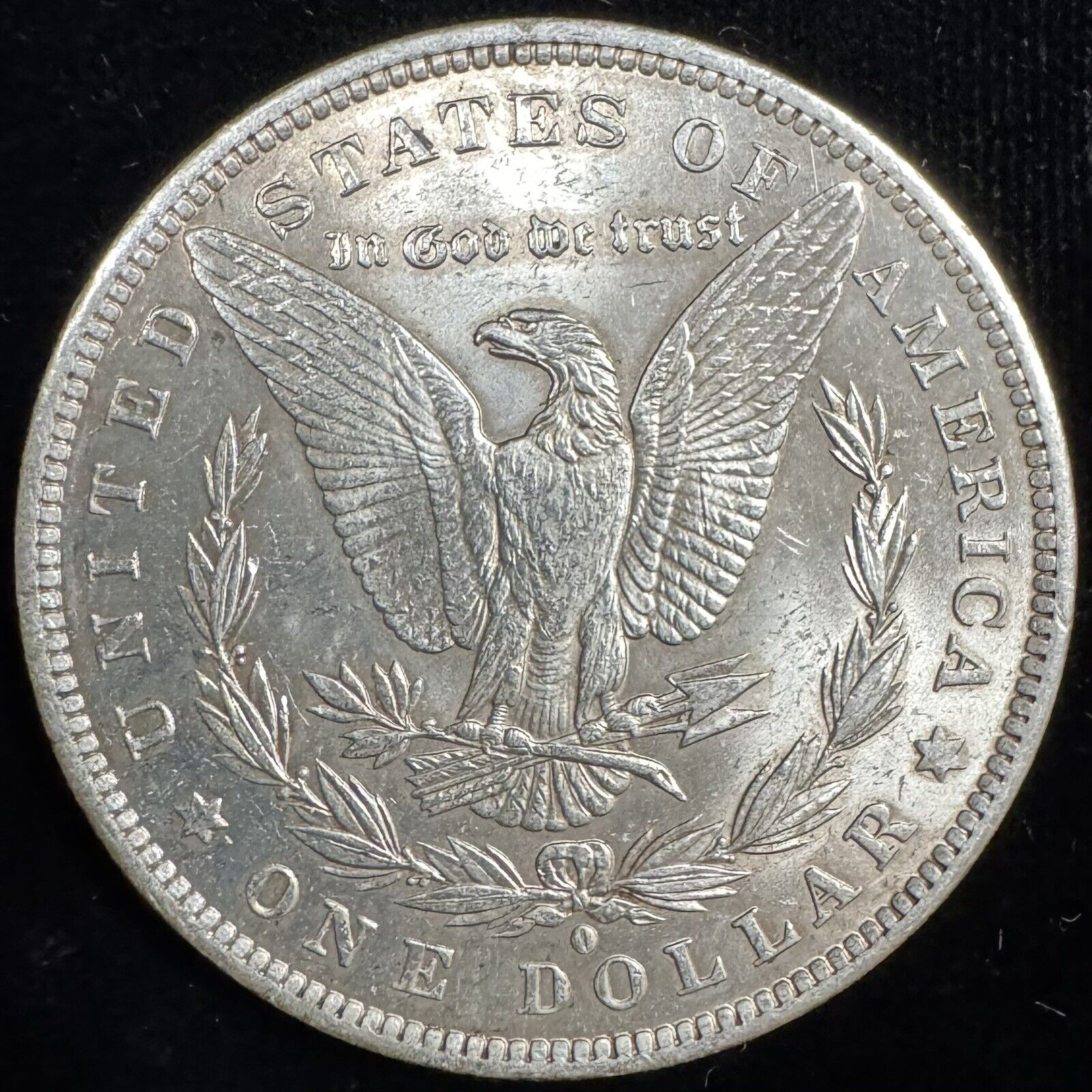 1884 O Morgan Dollar - Mint State ( 300747 ) 
