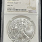 2021 Type 1 Silver Eagle NGC MS70 - JP49