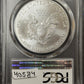 2017 W American Eagle - PCGS MS70 ( 40584 )
