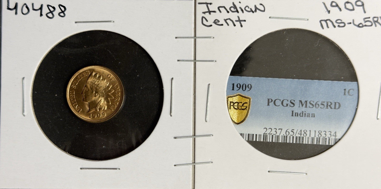 1909 Indian Head Cent - Mint State *Crackout* ( 40488 )