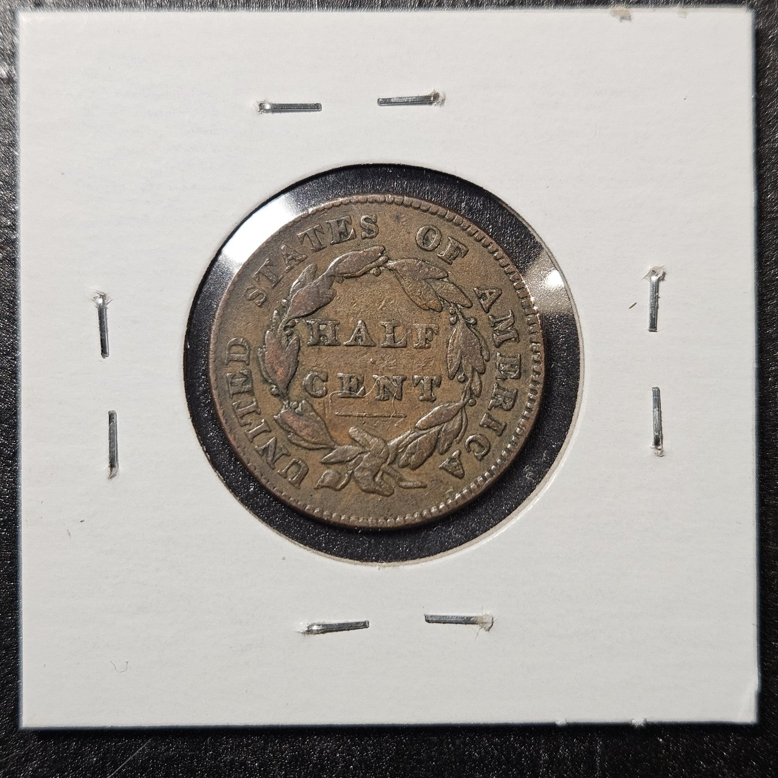 1828 Half Cent 12 Star Classic Head Fine (A6UN)