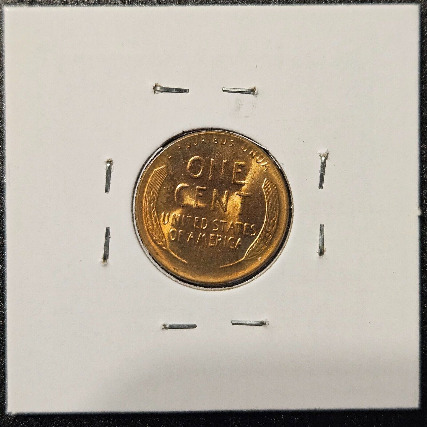 1956-D Lincoln Wheat Cent Ungraded Mint State B1116