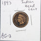 1893 Indian Head Cent AG-3 1395.3 — Obverse