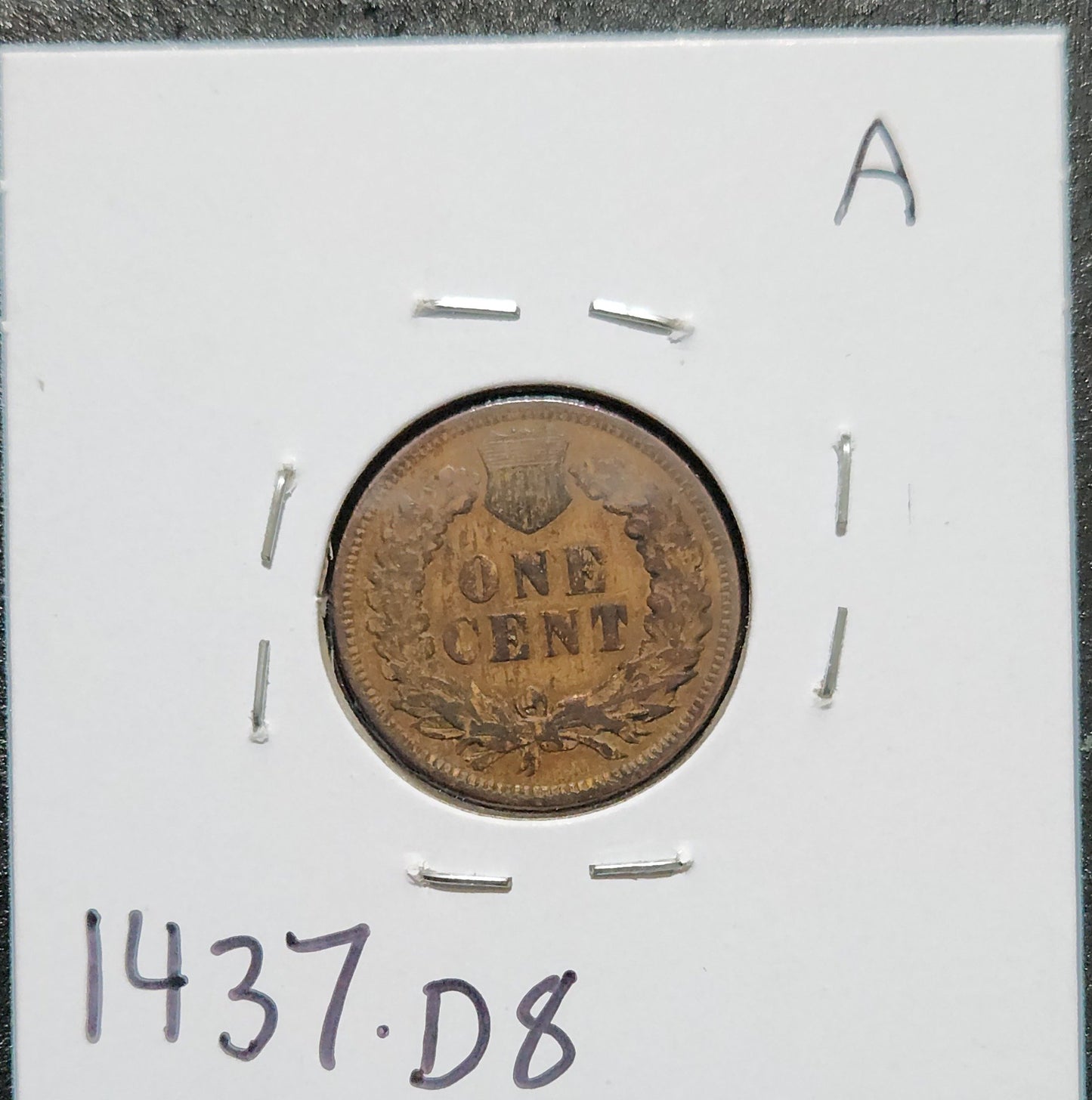 1905 Indian Head Cent VG 1437.D8 — Reverse