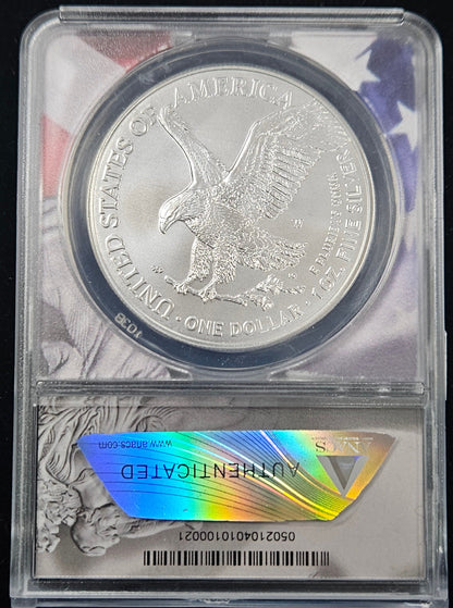 2022-W Silver Eagle Burnished ANACS SP70 — Reverse