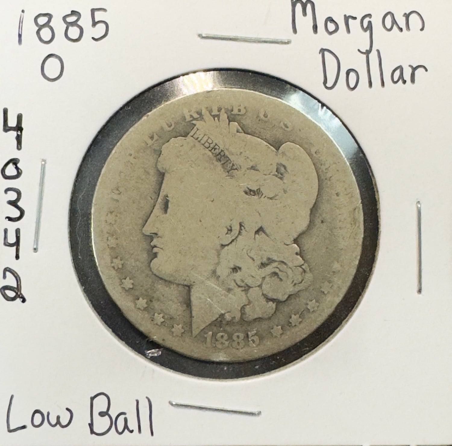Bargain Bin Morgan Dollars